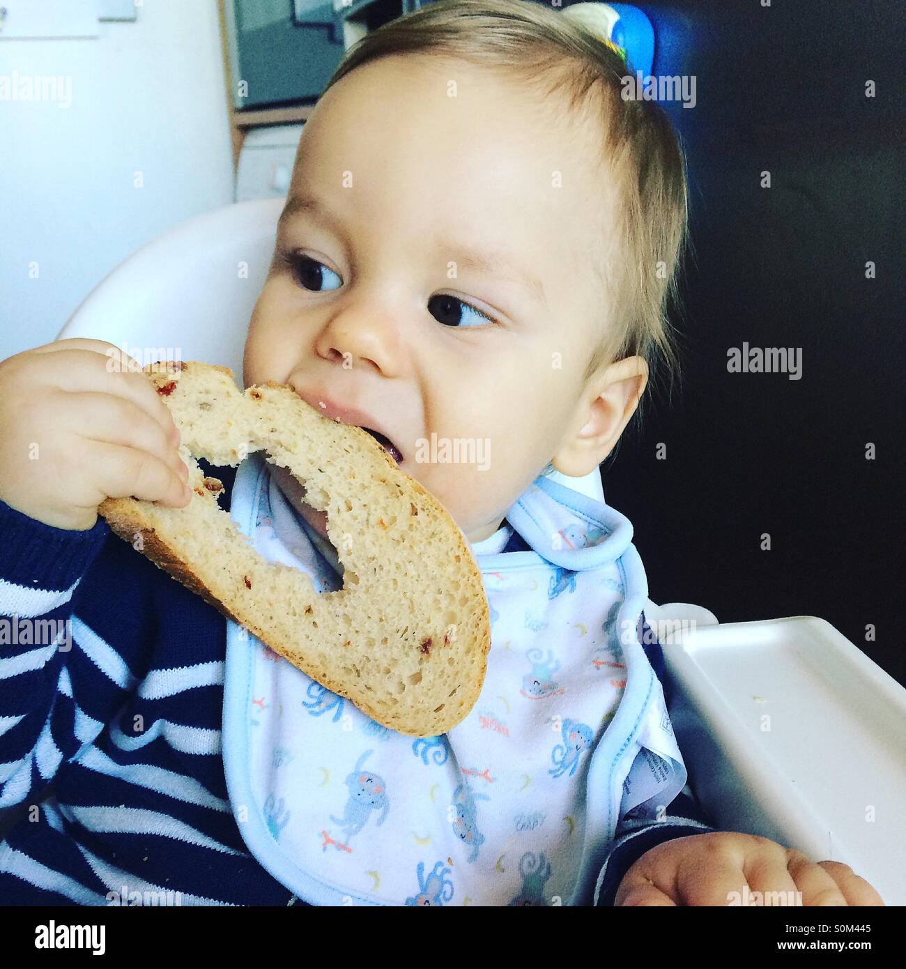 Baby boy with a half eaten piece of bread Stock Photo