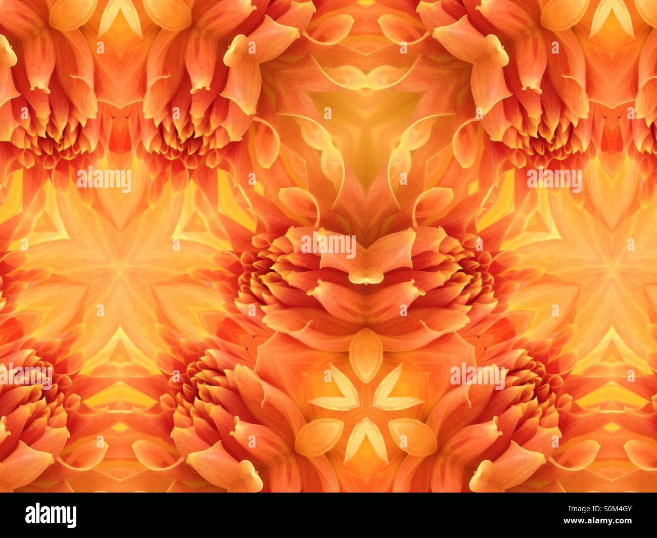 Kaleidoscope image of dahlia petals - Smartphone Captured Stock Image