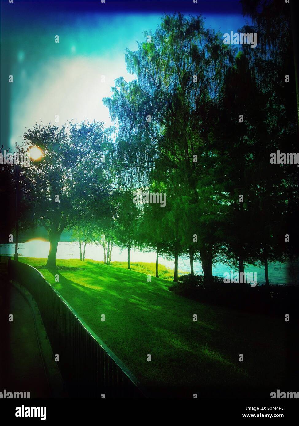 Path with trees and lake - Smartphone Captured Stock Image