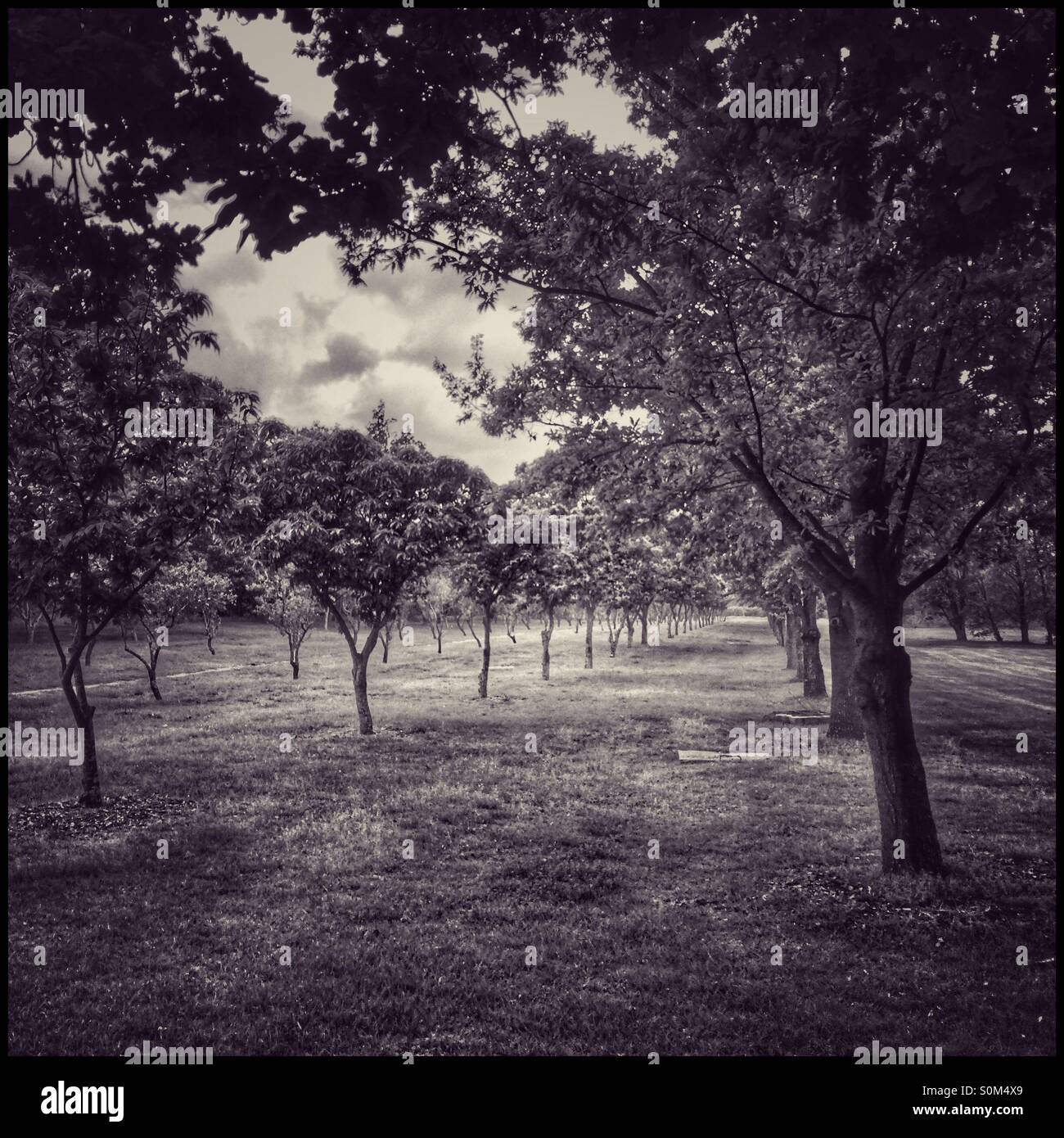 My Image 7
