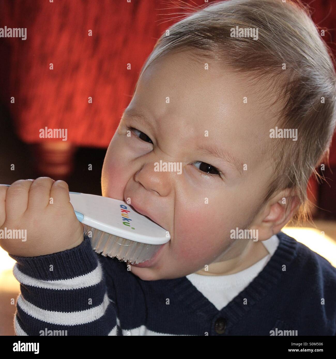 Teething 9 months old  baby boy stuffing hairbrush into his mouth Stock Photo