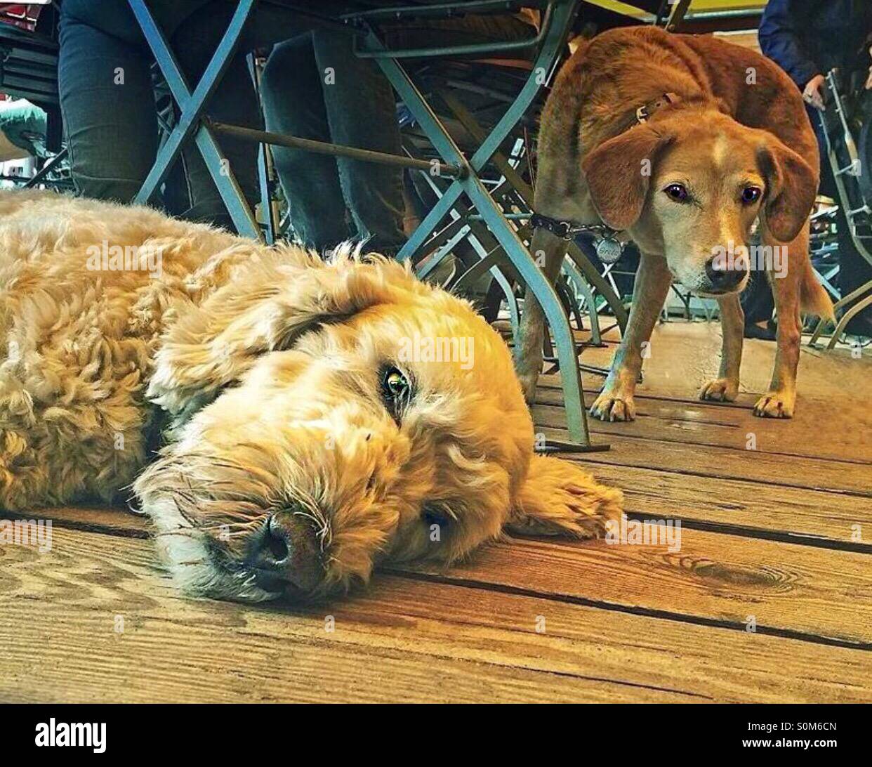 .. hello..! - Smartphone Captured Stock Image