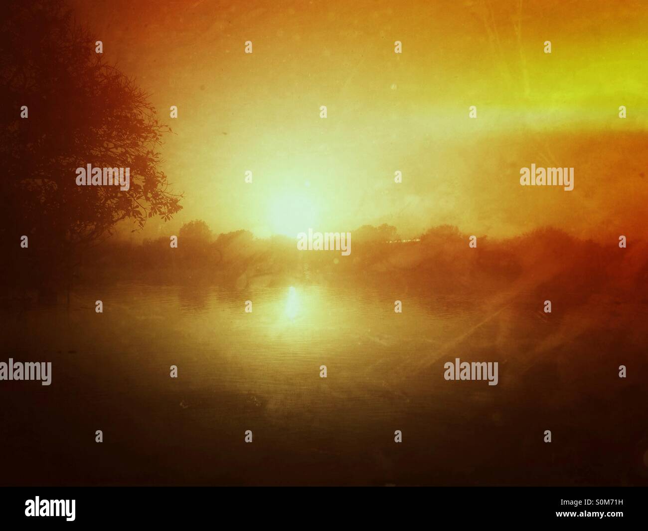 Sun rise on a marsh. - Smartphone Captured Stock Image