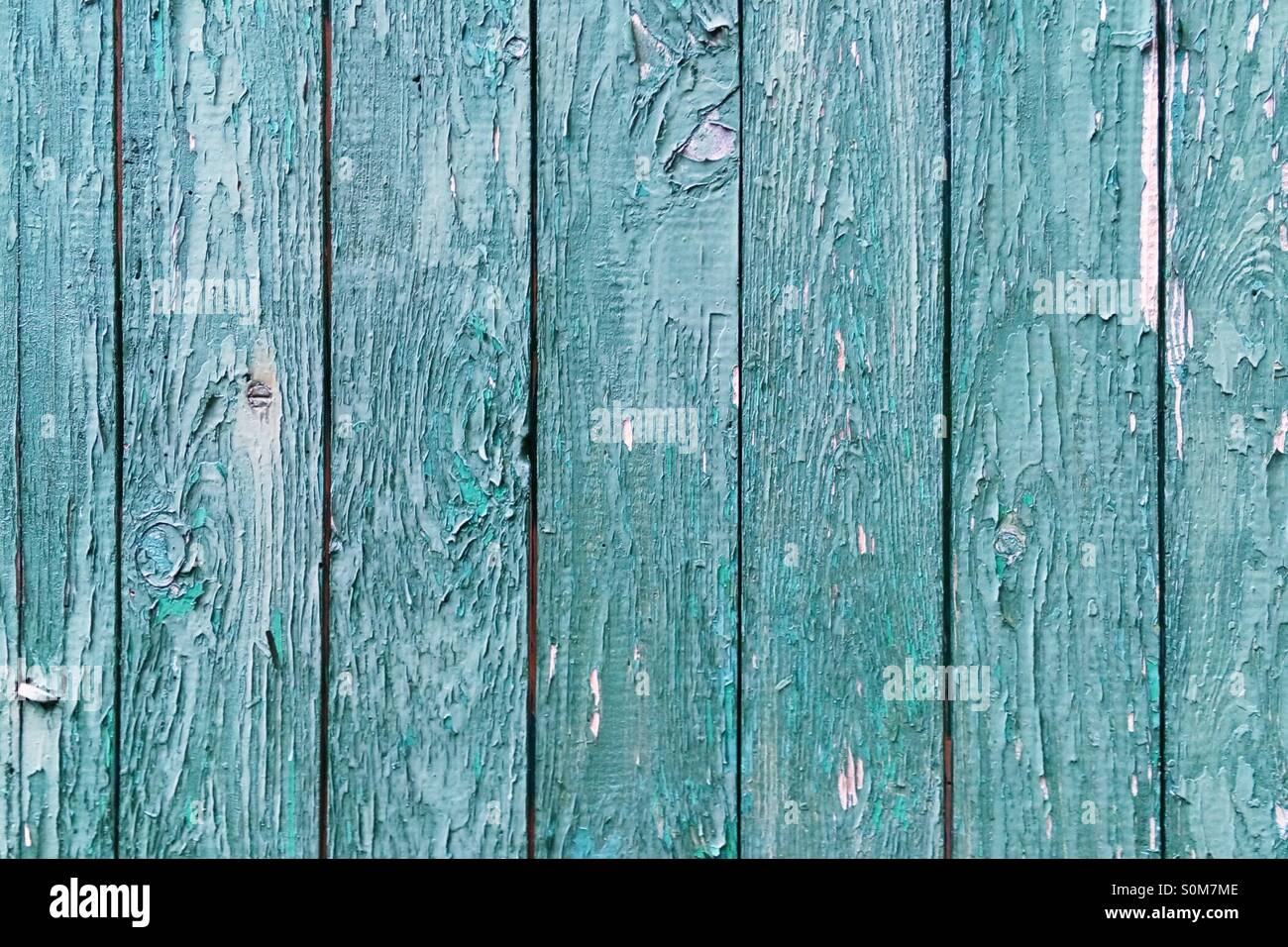 Weathered Green Paint On A Barn Door Stock Photo 310231726 Alamy