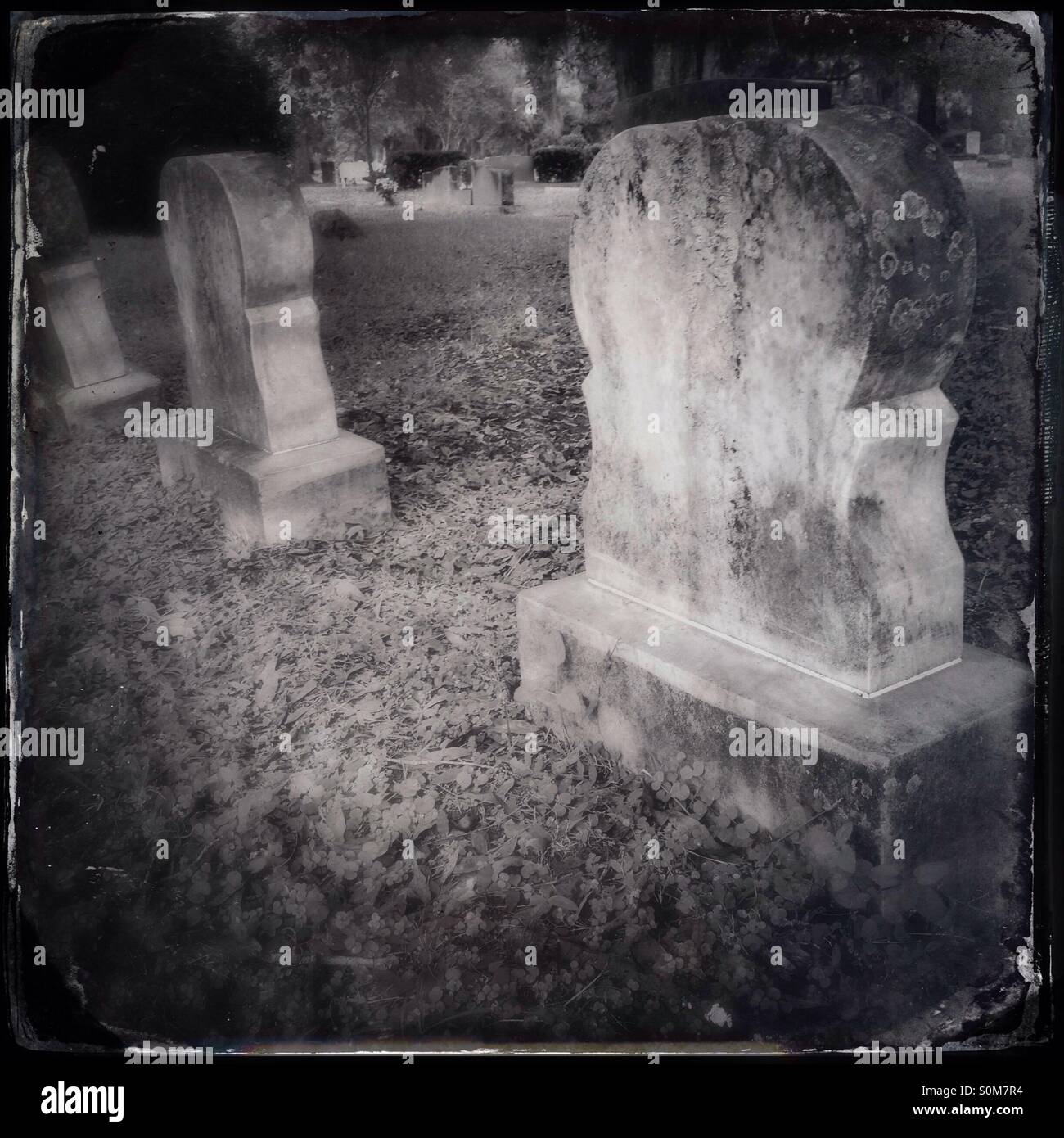 Headstones in a graveyard Stock Photo Alamy
