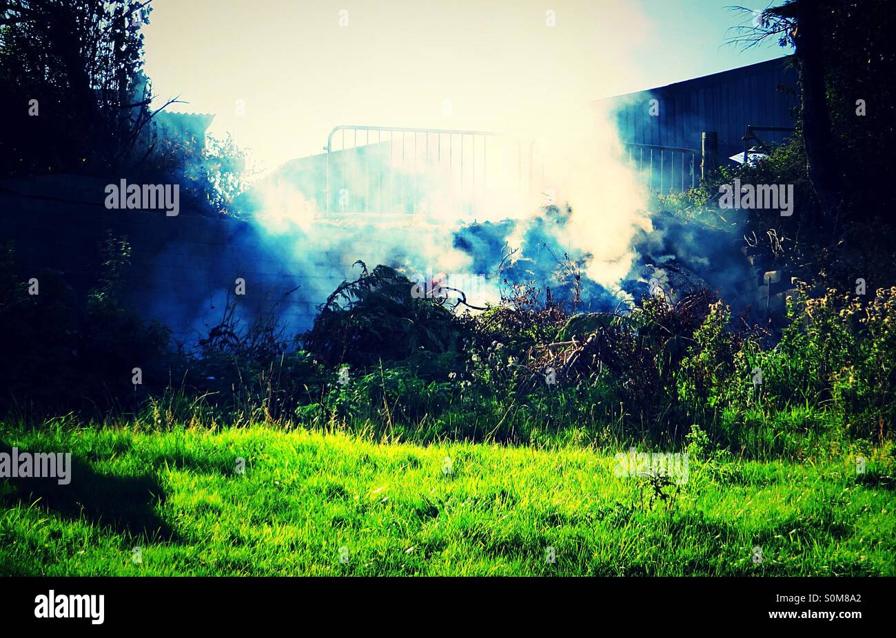 Smouldering fire in grassland - Smartphone Captured Stock Image