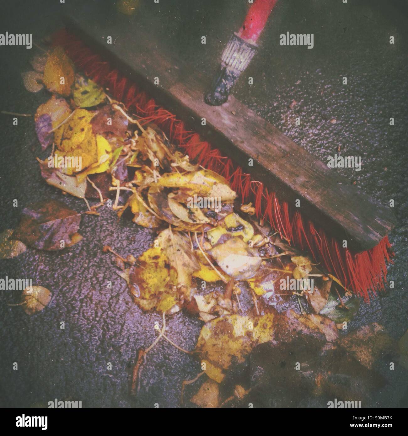 Sweeping fallen autumn leaves on a wet concrete floor Stock Photo