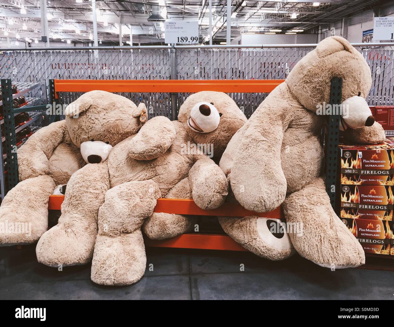 Stuffed animal store hires stock photography and images Alamy