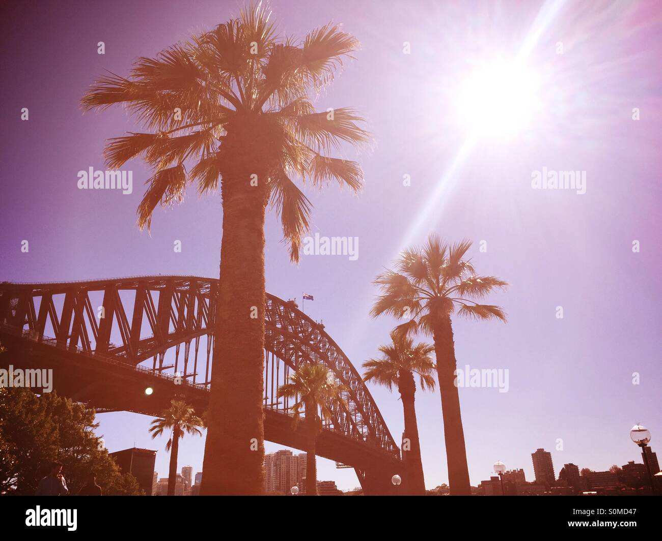 Sydney Harbour Bridge in the sun with palm trees Stock Photo