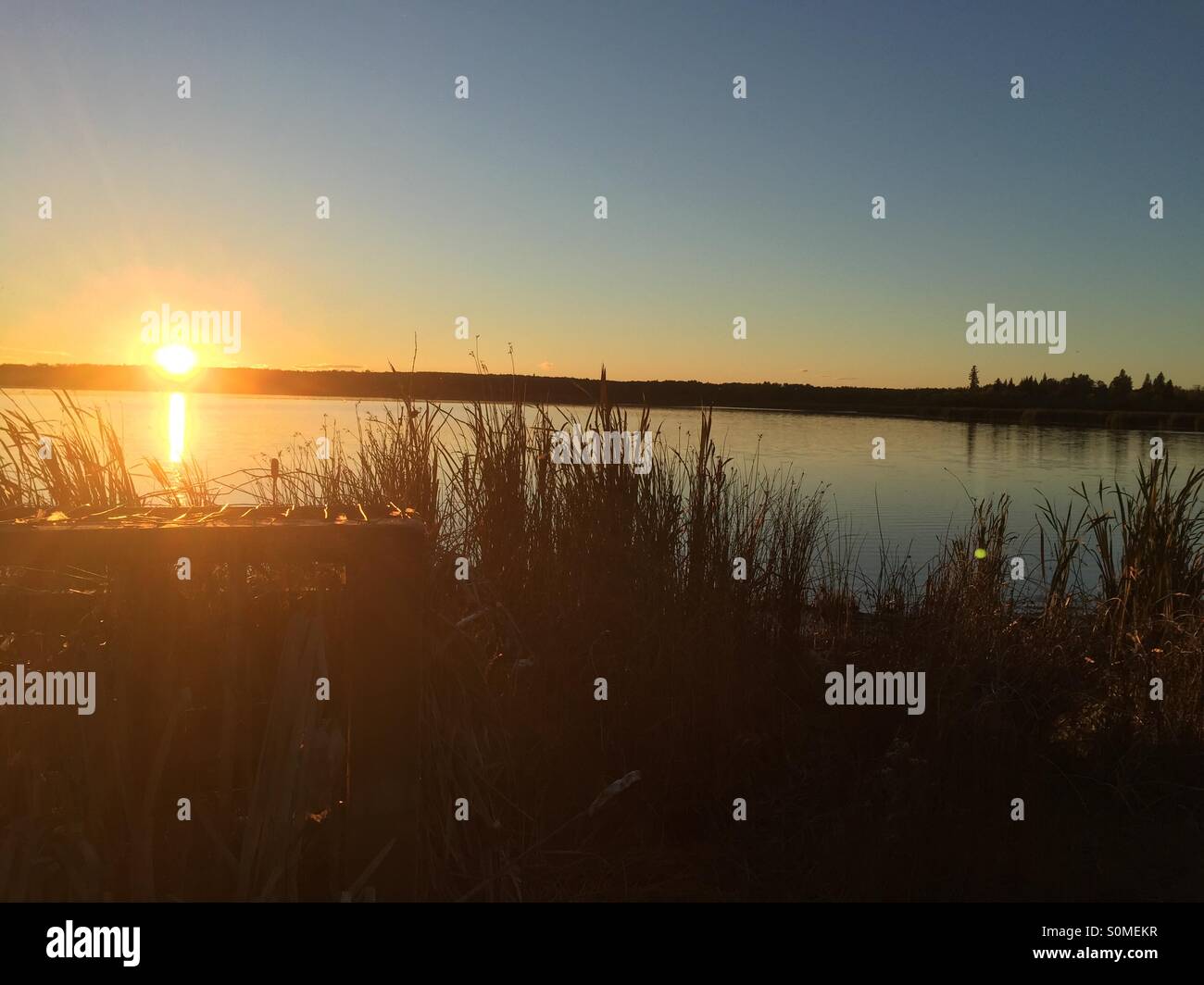 Duck blind at sunset Stock Photo Alamy