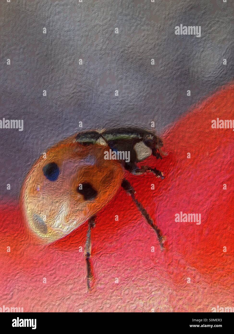 Painted effect on a ladybird - Smartphone Captured Stock Image