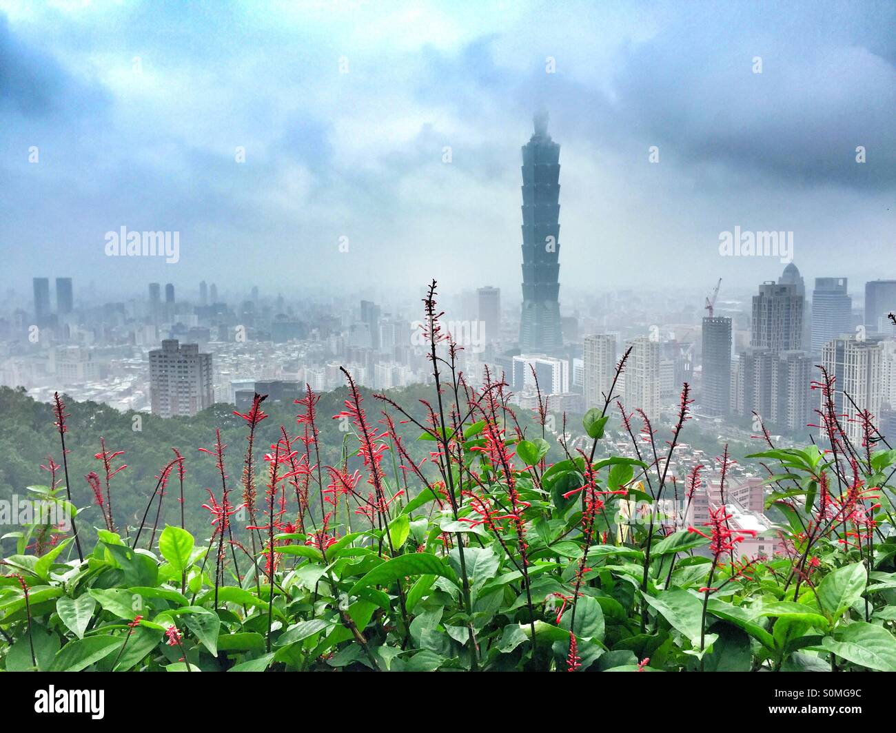 Taipei City and Taipei101 Stock Photo