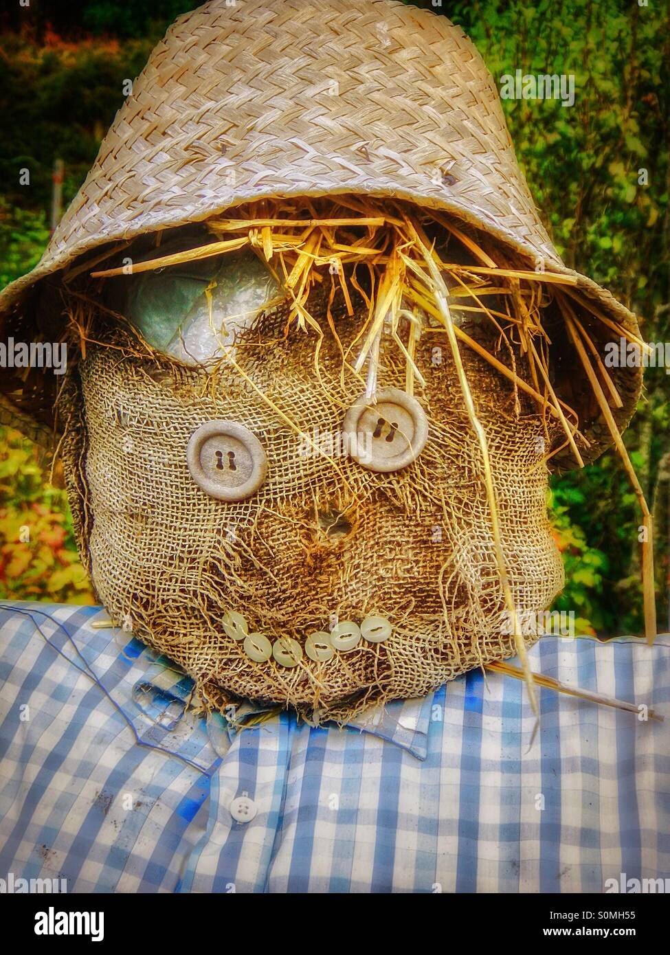 Country scarecrow made of straw, Scotland, UK - Smartphone Captured Stock Image