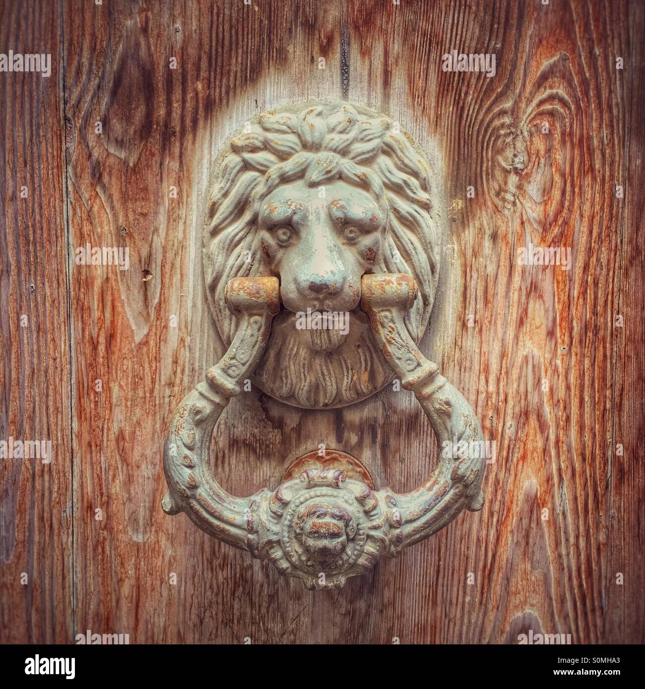 Ornate lion door knocker Stock Photo Alamy