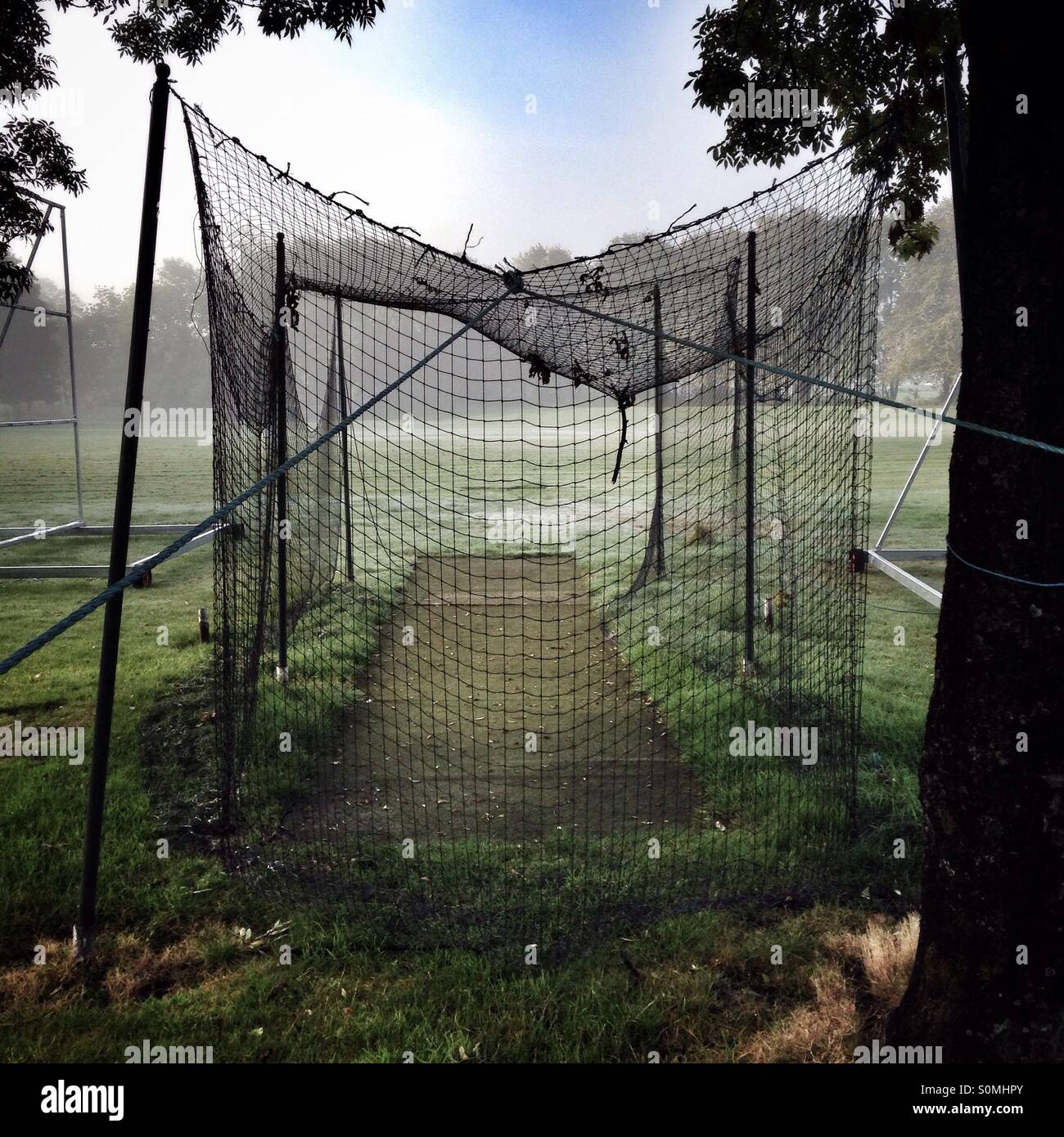 Practice nets cricket Stock Photo Alamy