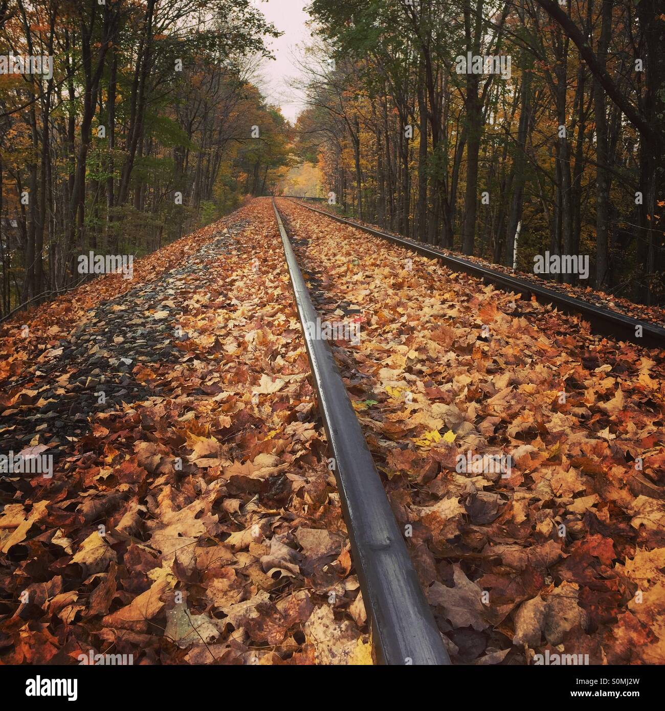 Fall on the Tracks Stock Photo