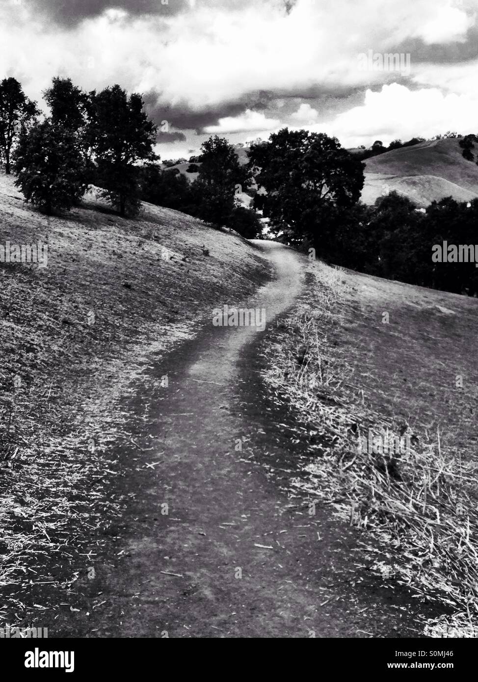 Winding path through oak foothills - Smartphone Captured Stock Image