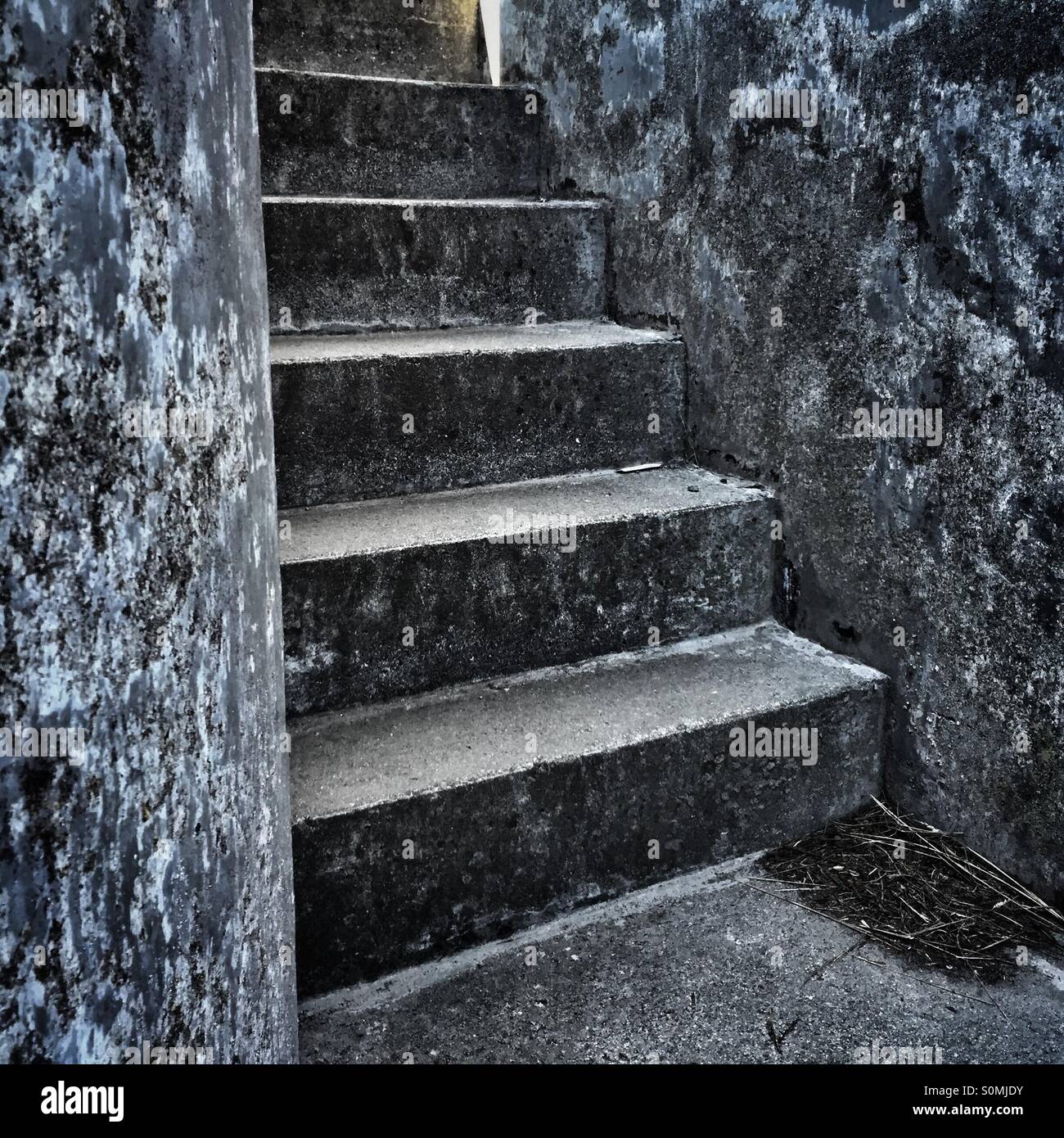 Stone stairs at Fort Casey State Park, Whidbey Island, Washington, USA Stock Photo