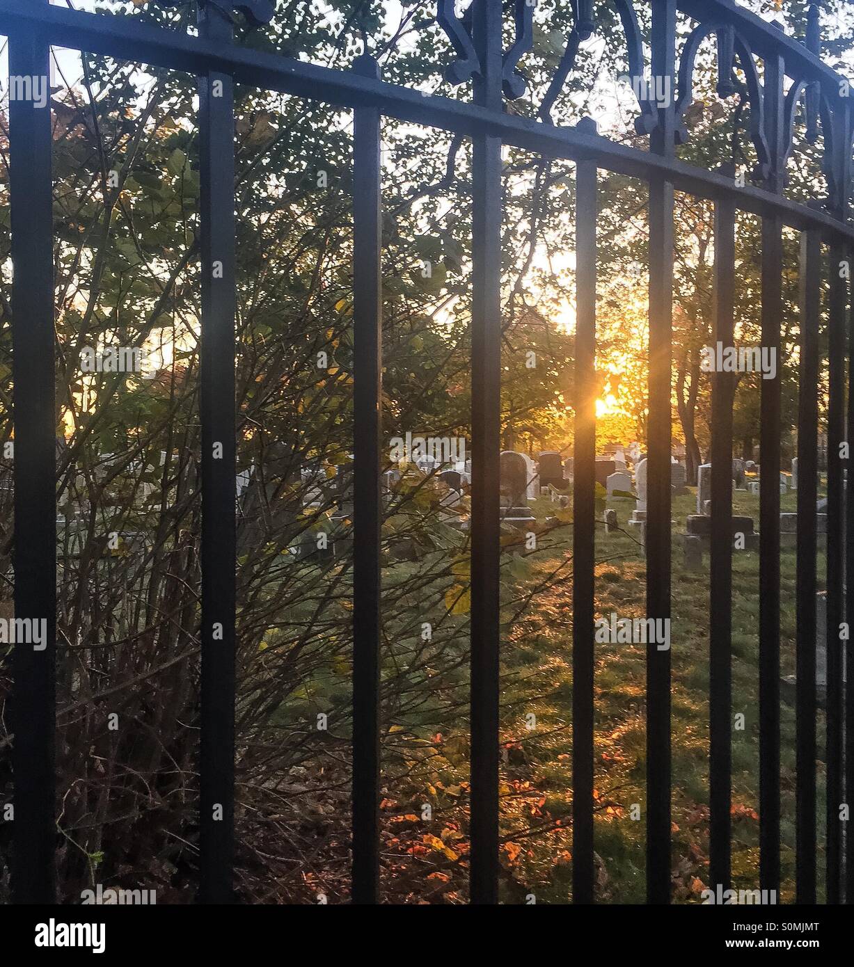 Sun setting on a graveyard through a gate on Jamaica, Queens. Stock Photo