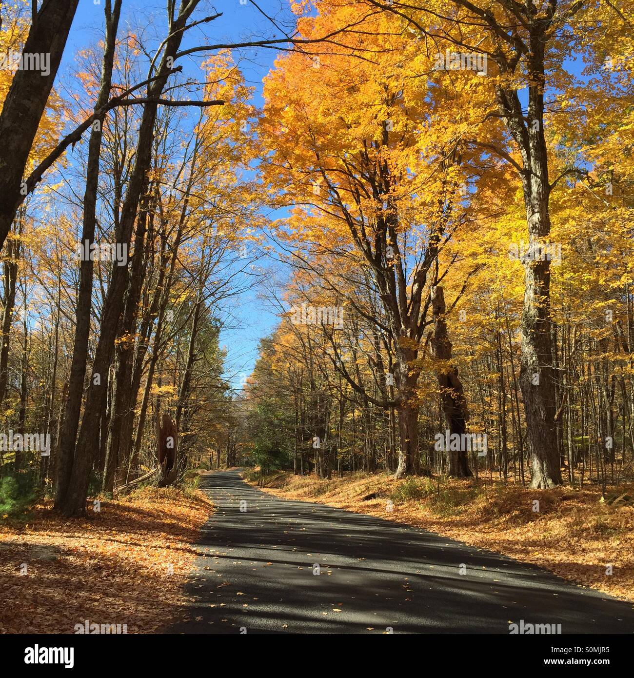 Fall Road Stock Photo