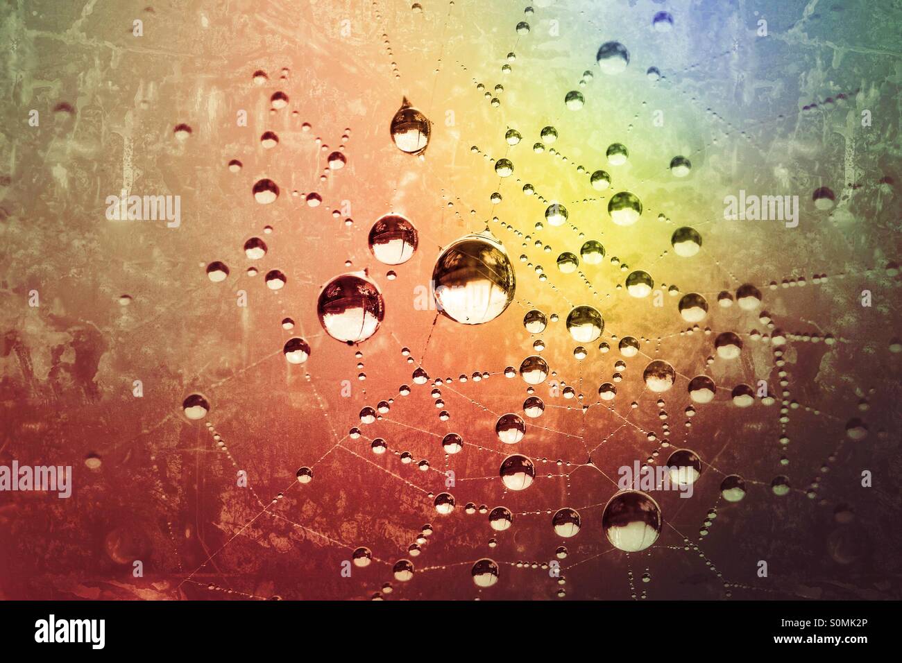 Droplets of water cling delicately to a spider web with a colourful, nebula background. - Smartphone Captured Stock Image
