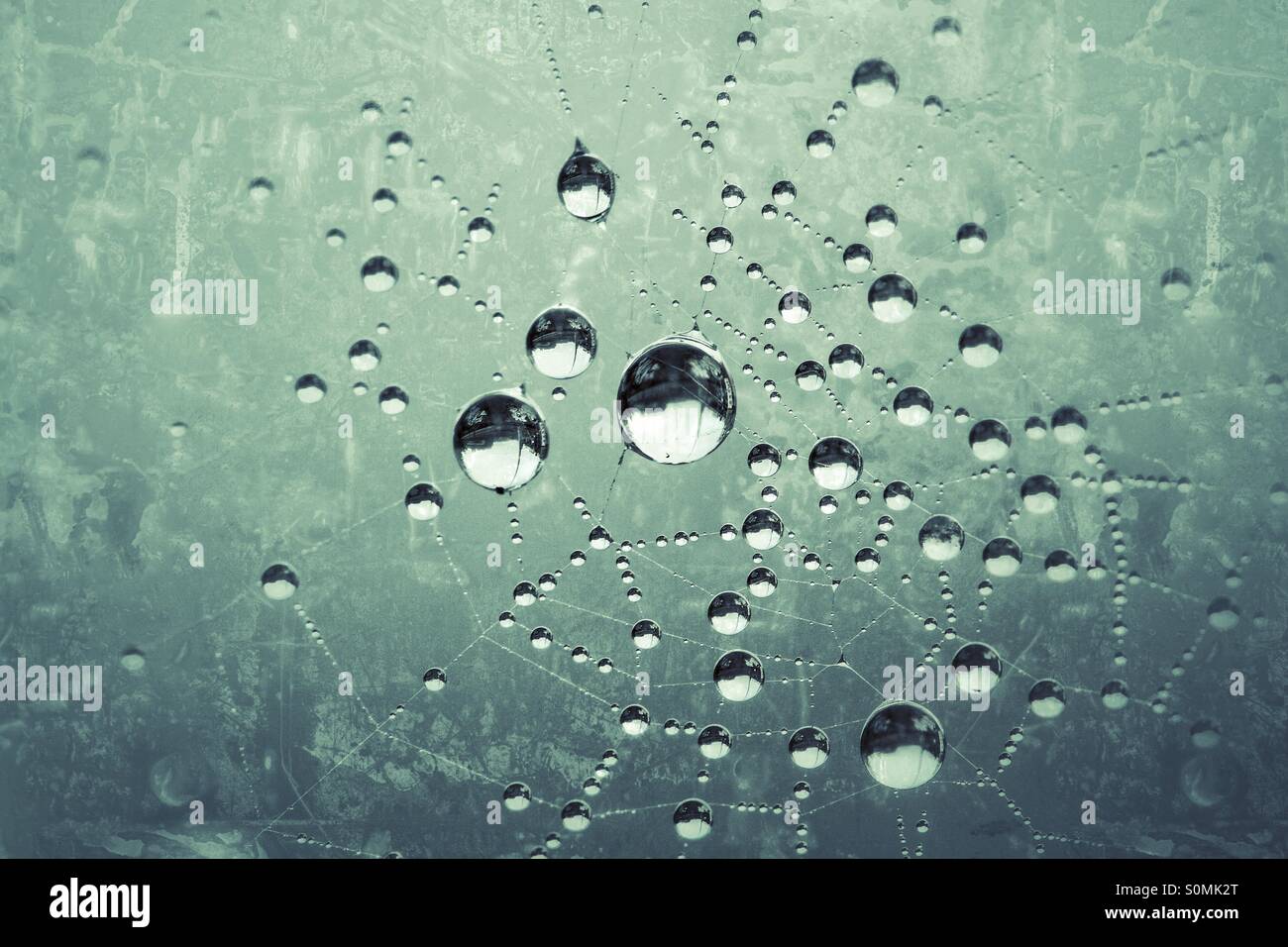 Cold, clear water droplets settled on a spider's web above a harsh, metal background. - Smartphone Captured Stock Image