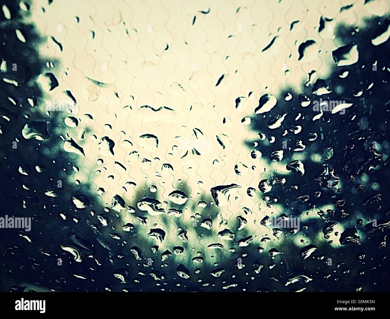 Raindrops on car windscreen with trees blurred - Smartphone Captured Stock Image