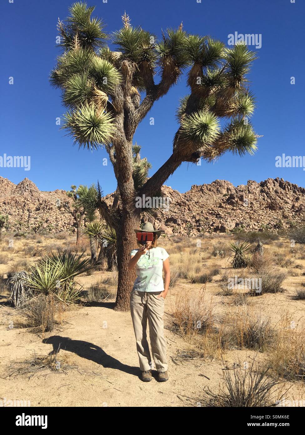 Taking a selfie at a Joshua Tree in the Mohave Desert in Southern California USA - Smartphone Captured Stock Image