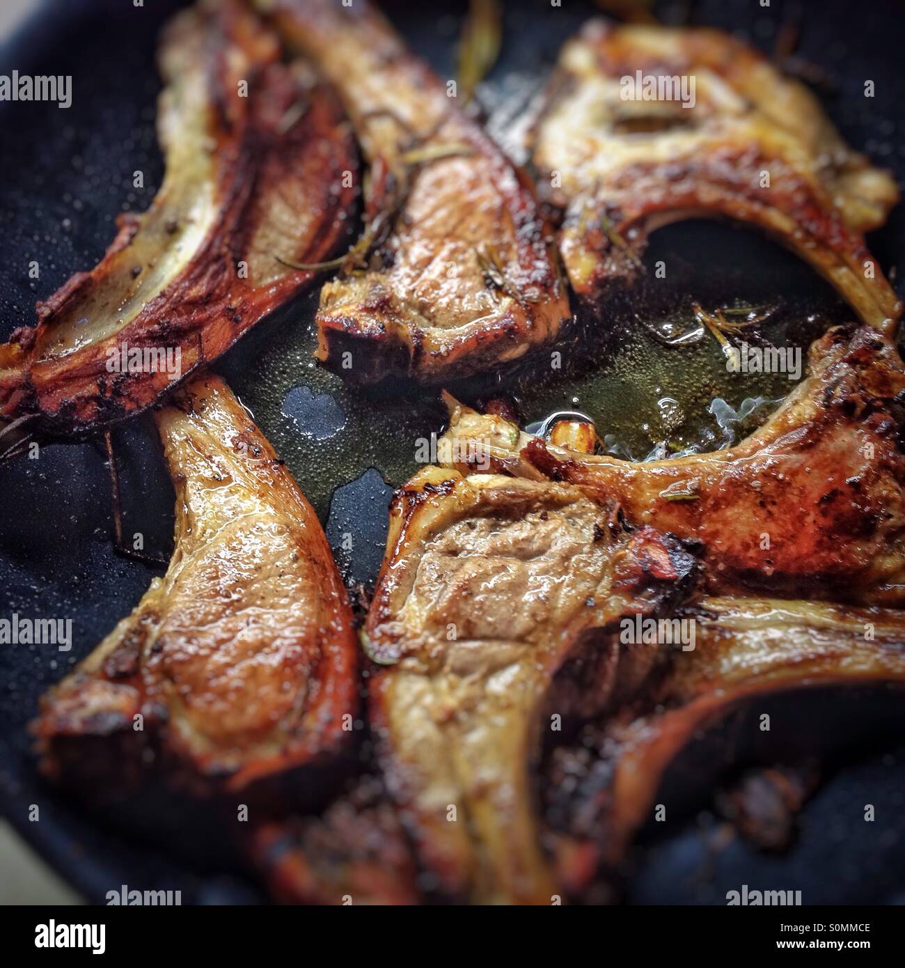 Lamb chops in frying pan - Smartphone Captured Stock Image