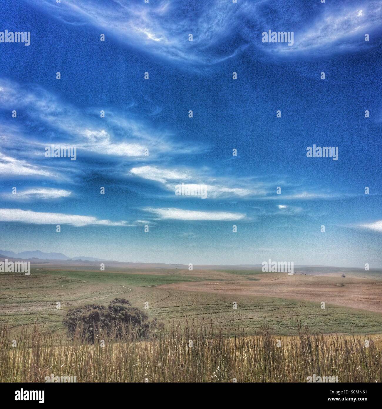 Landscape Western Cape, South Africa. - Smartphone Captured Stock Image