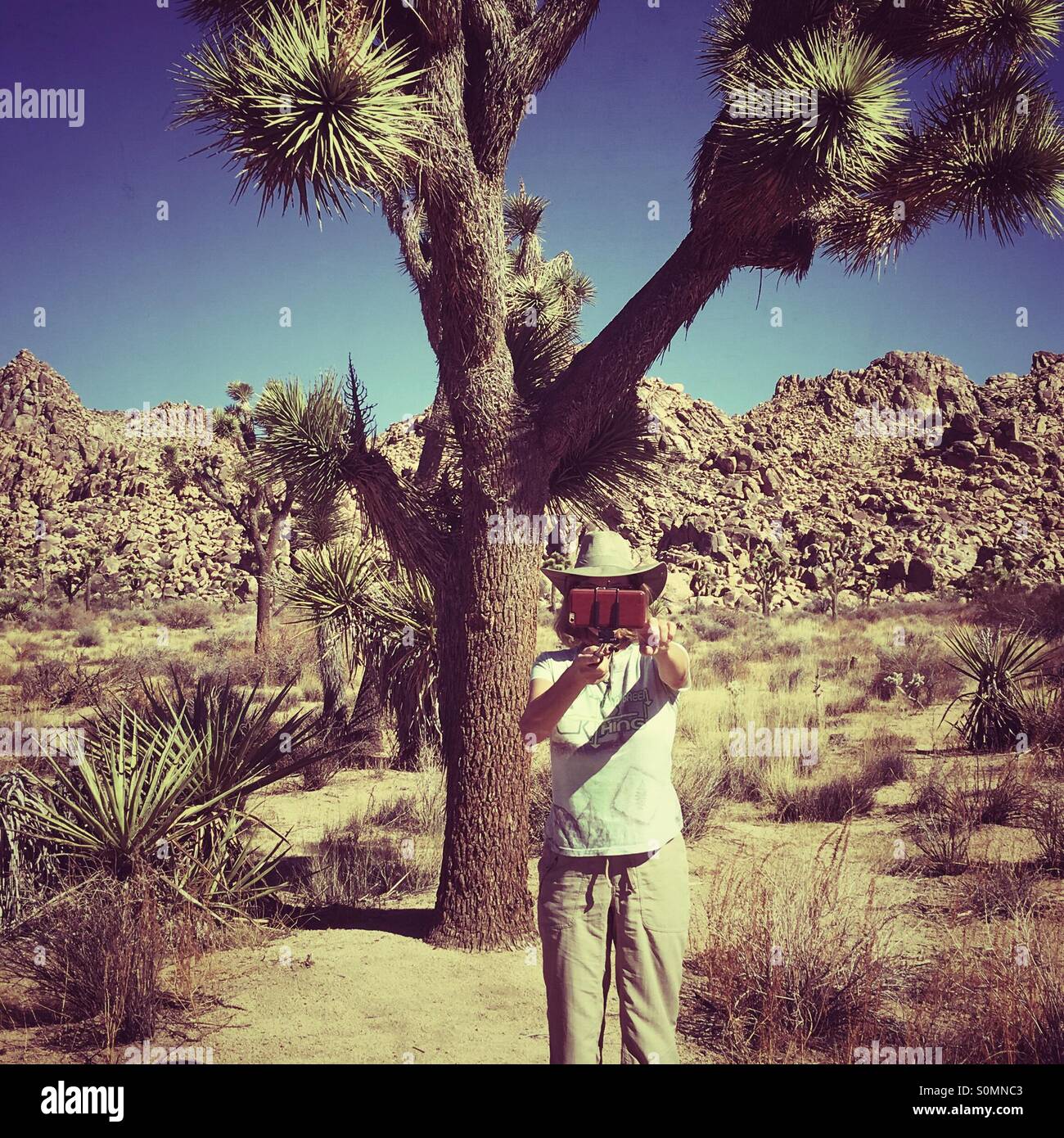 Taking a selfie at a Joshua Tree in the Mojave Desert in Southern California USA - Smartphone Captured Stock Image
