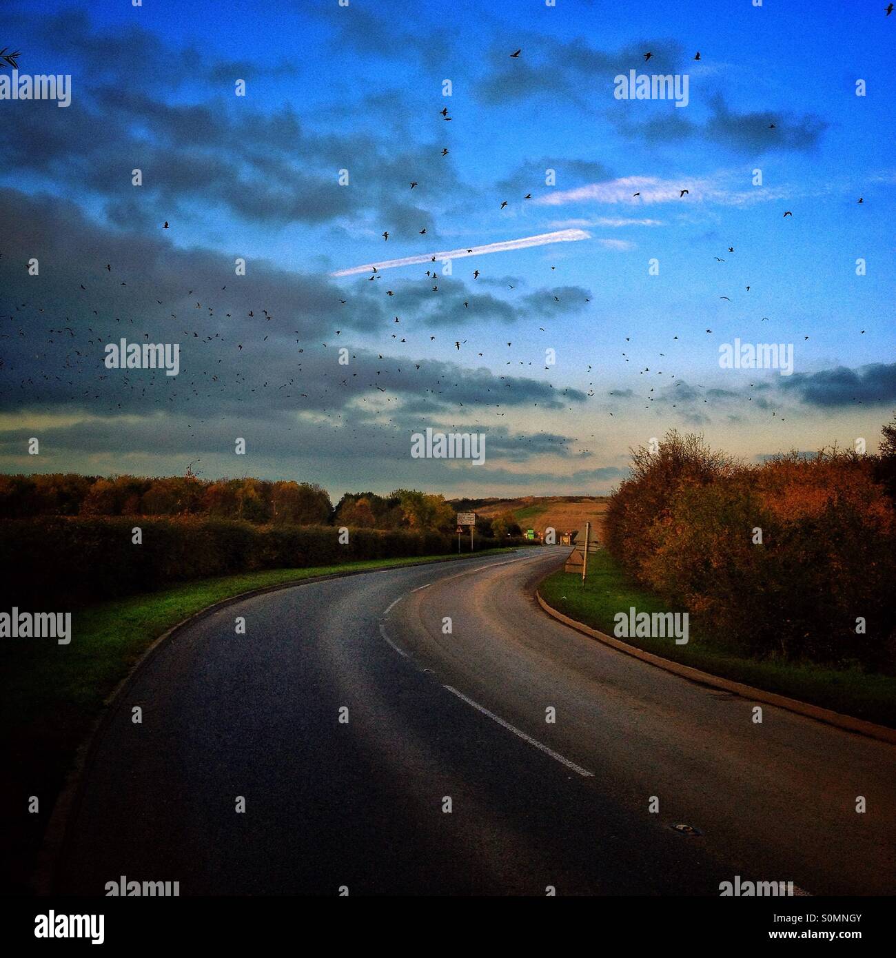 Bend - Smartphone Captured Stock Image