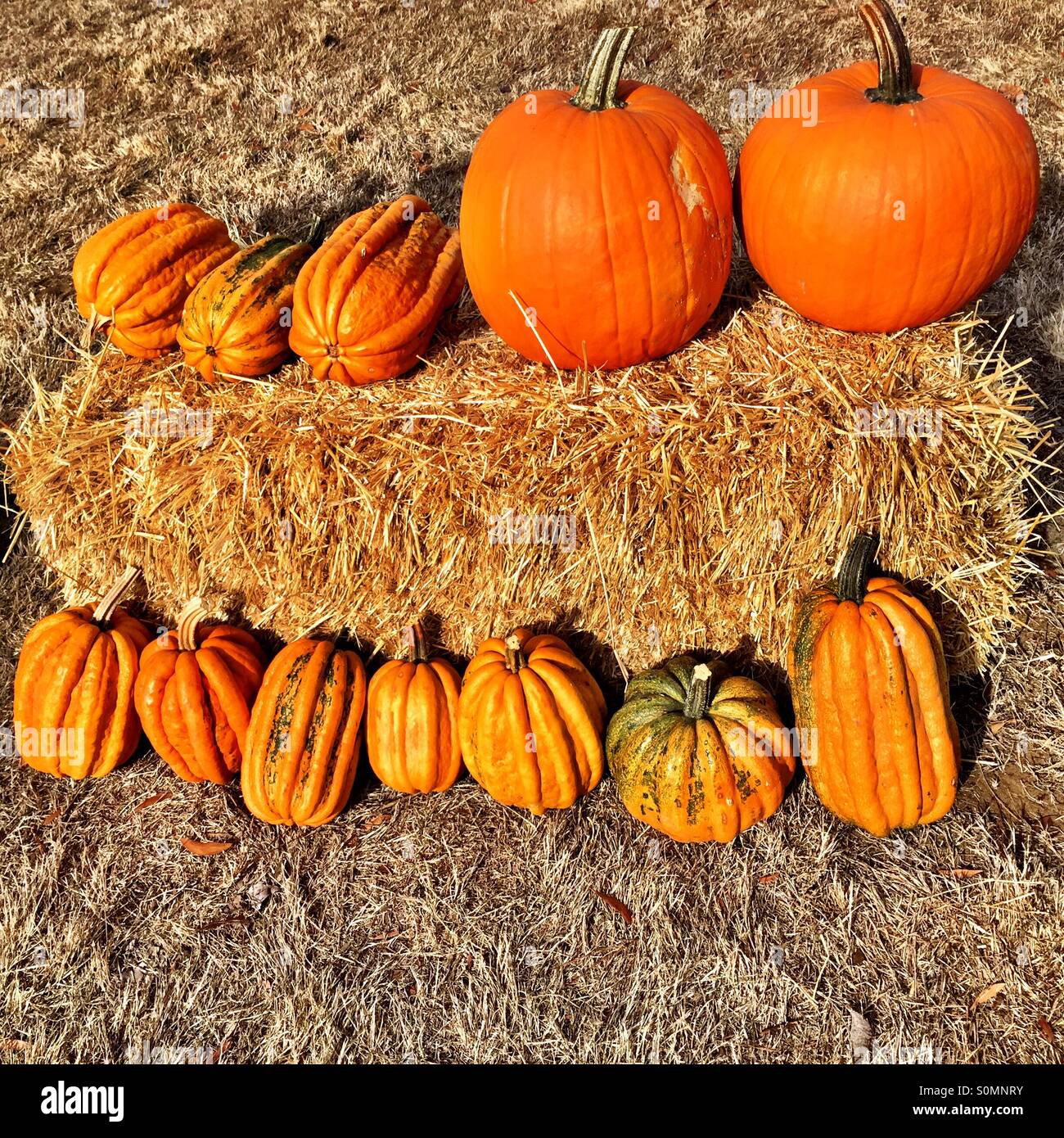 Decorative pumpkins and squashes adorning a bale of hay in the Autumn sunlight Stock Photo