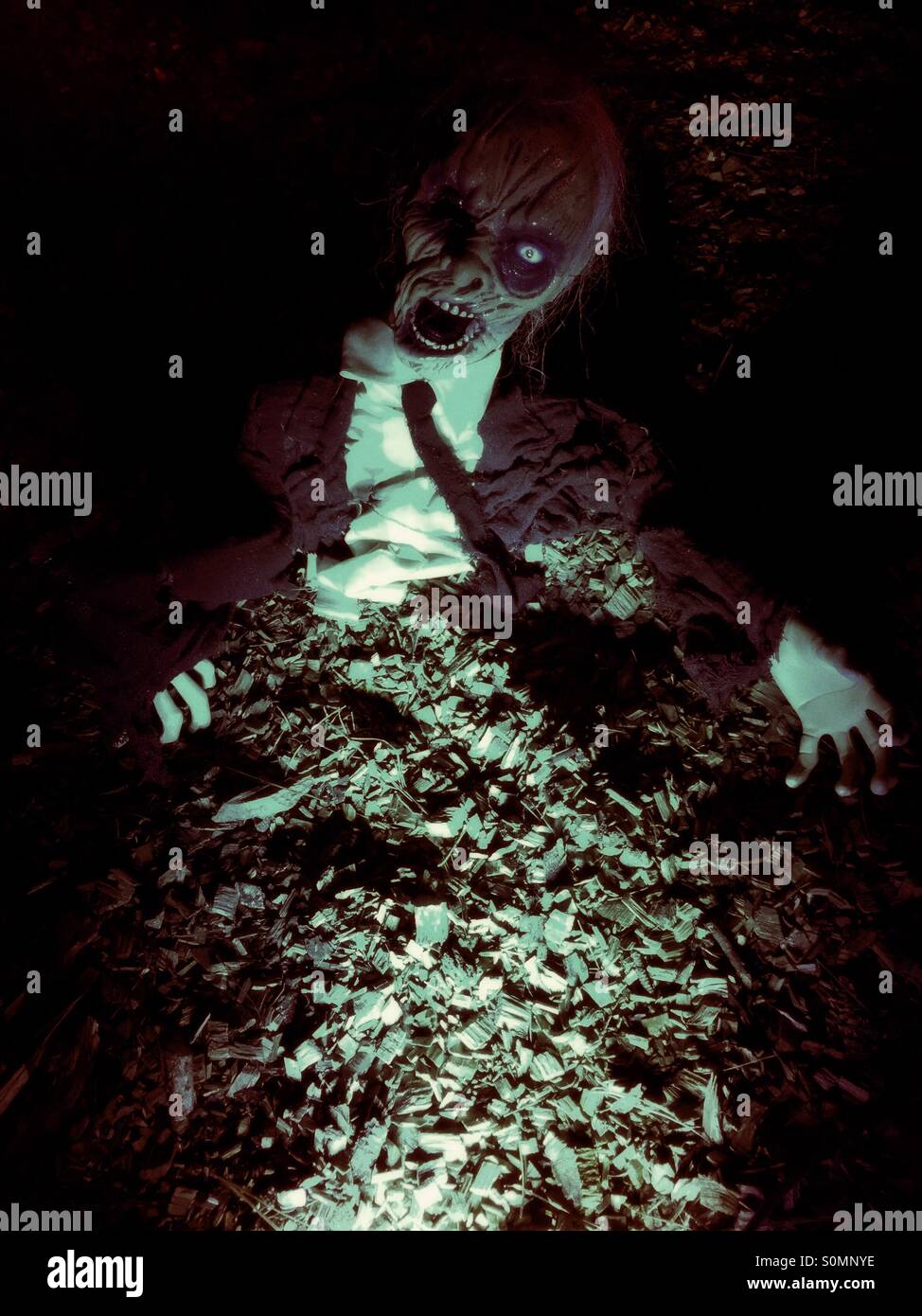 Zombie clawing his way back from the grave - Smartphone Captured Stock Image