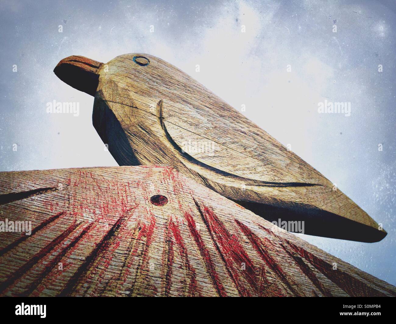 Seagull - Smartphone Captured Stock Image