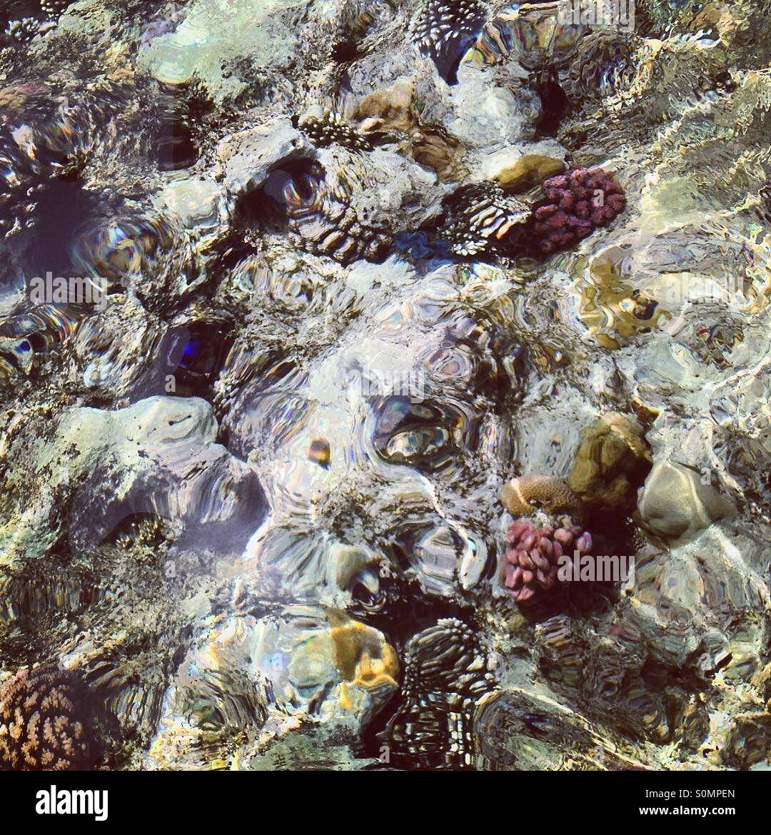 Colors under water - Smartphone Captured Stock Image