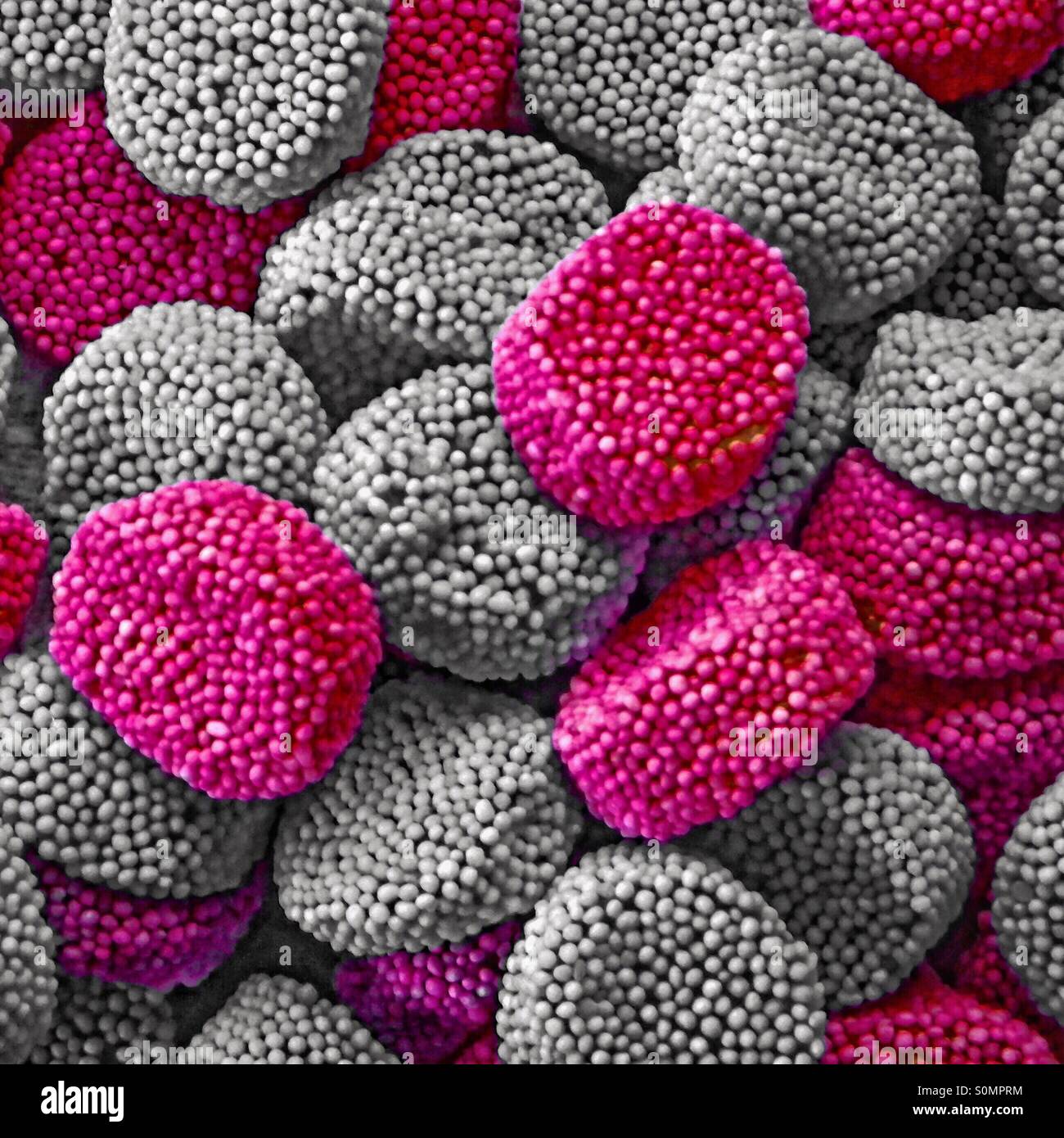 Red and grey traditional confectionery - Smartphone Captured Stock Image