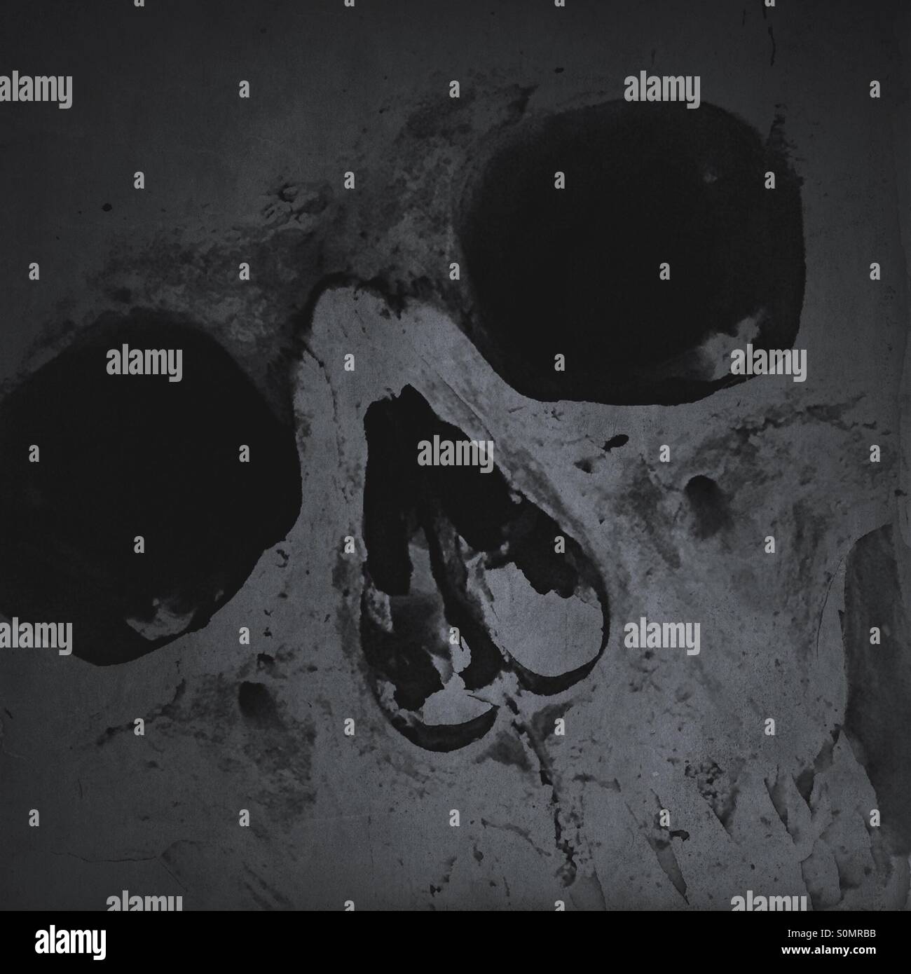 Closeup of a human skull - Smartphone Captured Stock Image