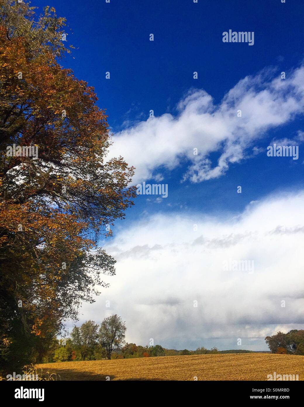 Fall day Stock Photo
