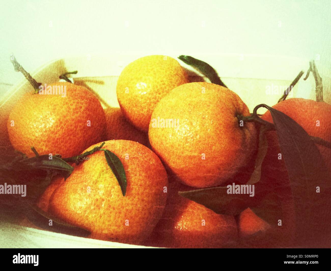 Box of Clementines - Smartphone Captured Stock Image