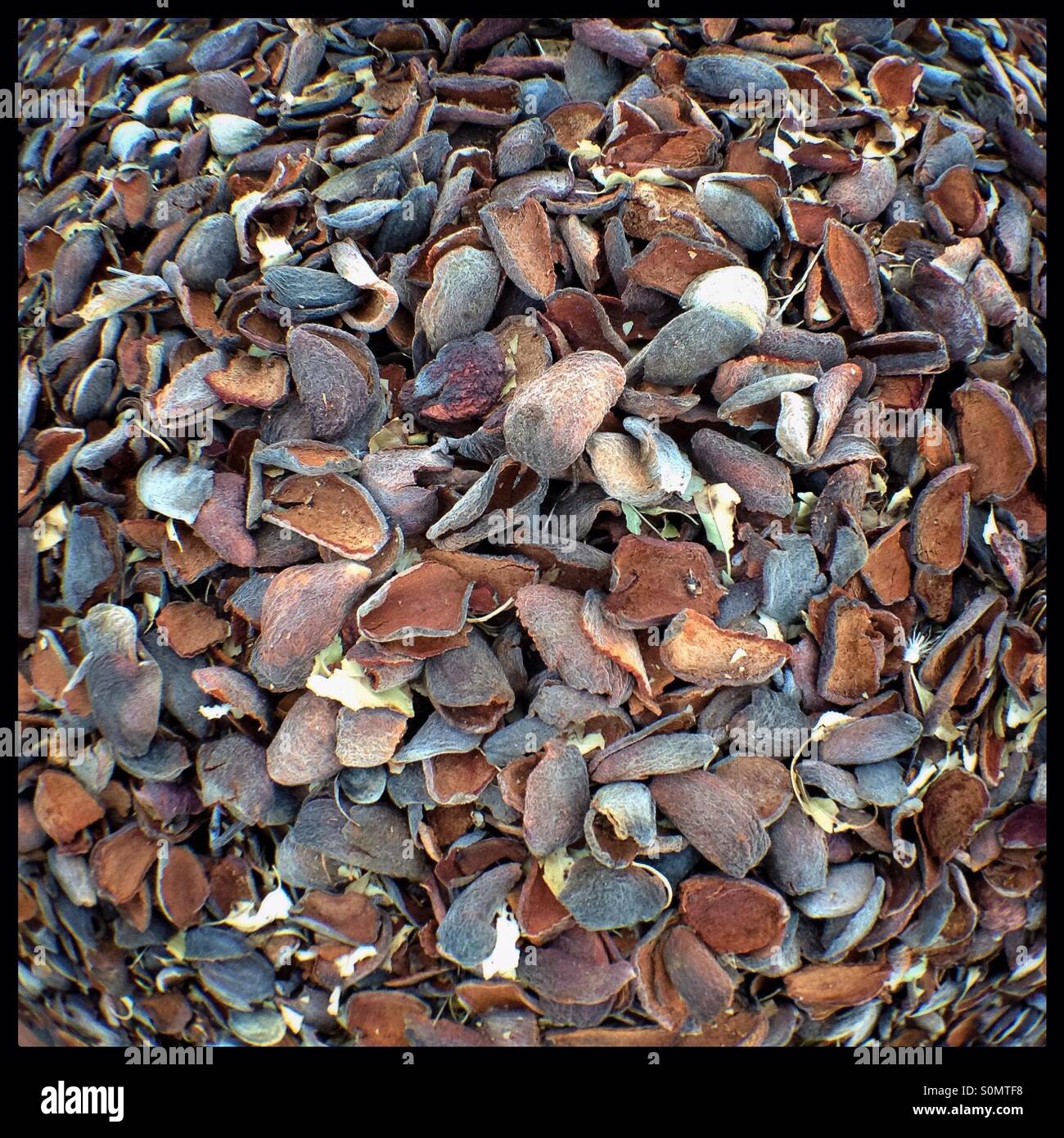 Composting almond husks after the removal of the nut, Catalonia, Spain. - Smartphone Captured Stock Image