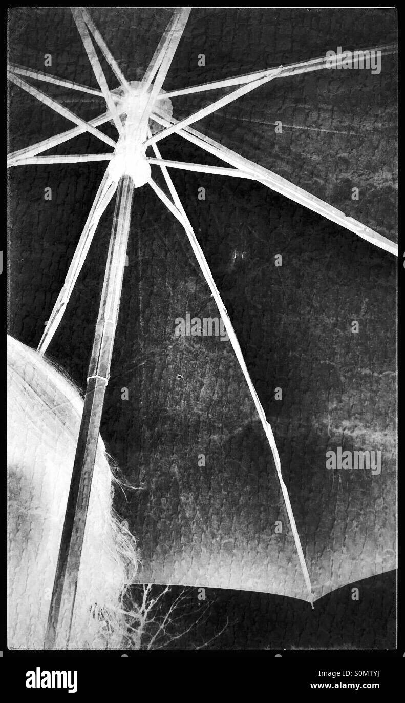 Under the Umbrella Stock Photo Alamy