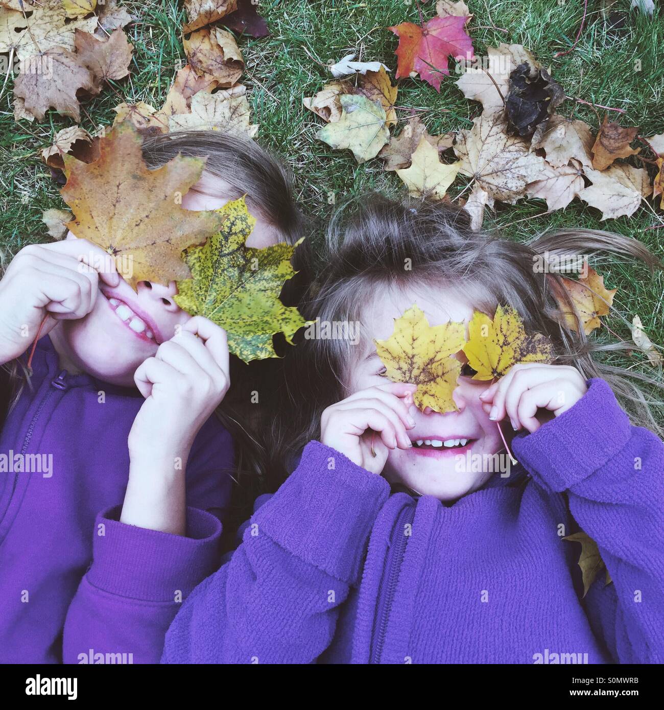 Sisters playing with the leaves of autumn Stock Photo