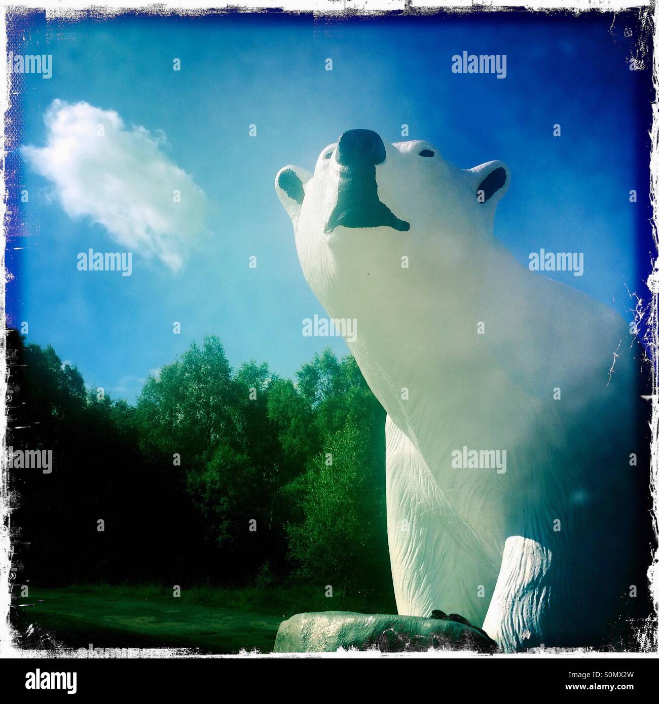 Bear scotland hires stock photography and images Alamy