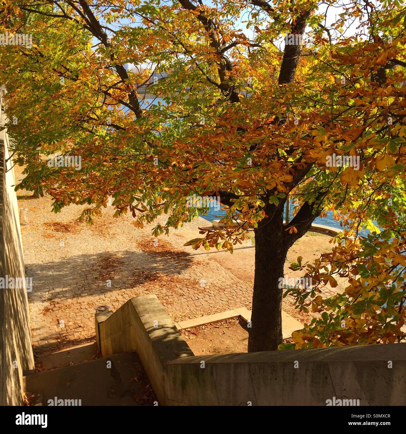 The seine in Autumn Paris - Smartphone Captured Stock Image