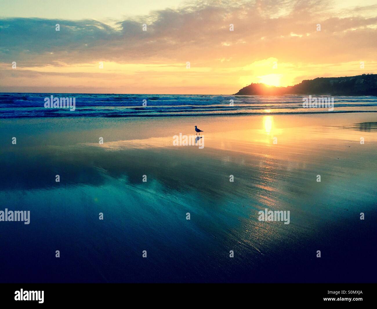Manly Beach Sunrise Stock Photo Alamy