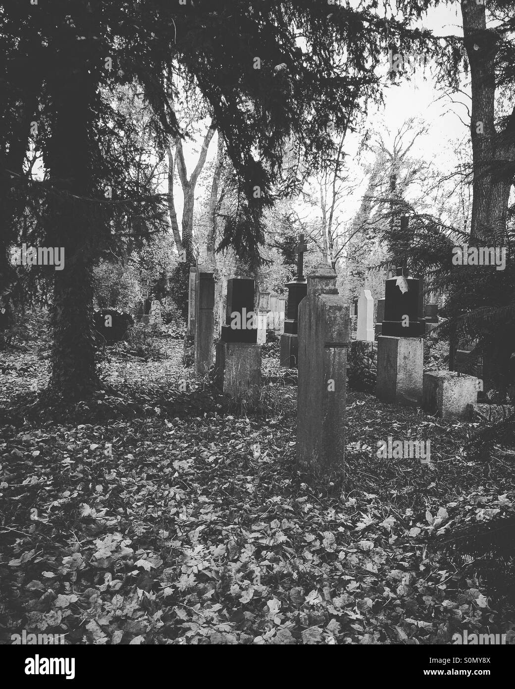 Graveyard - All Hollows Stock Photo