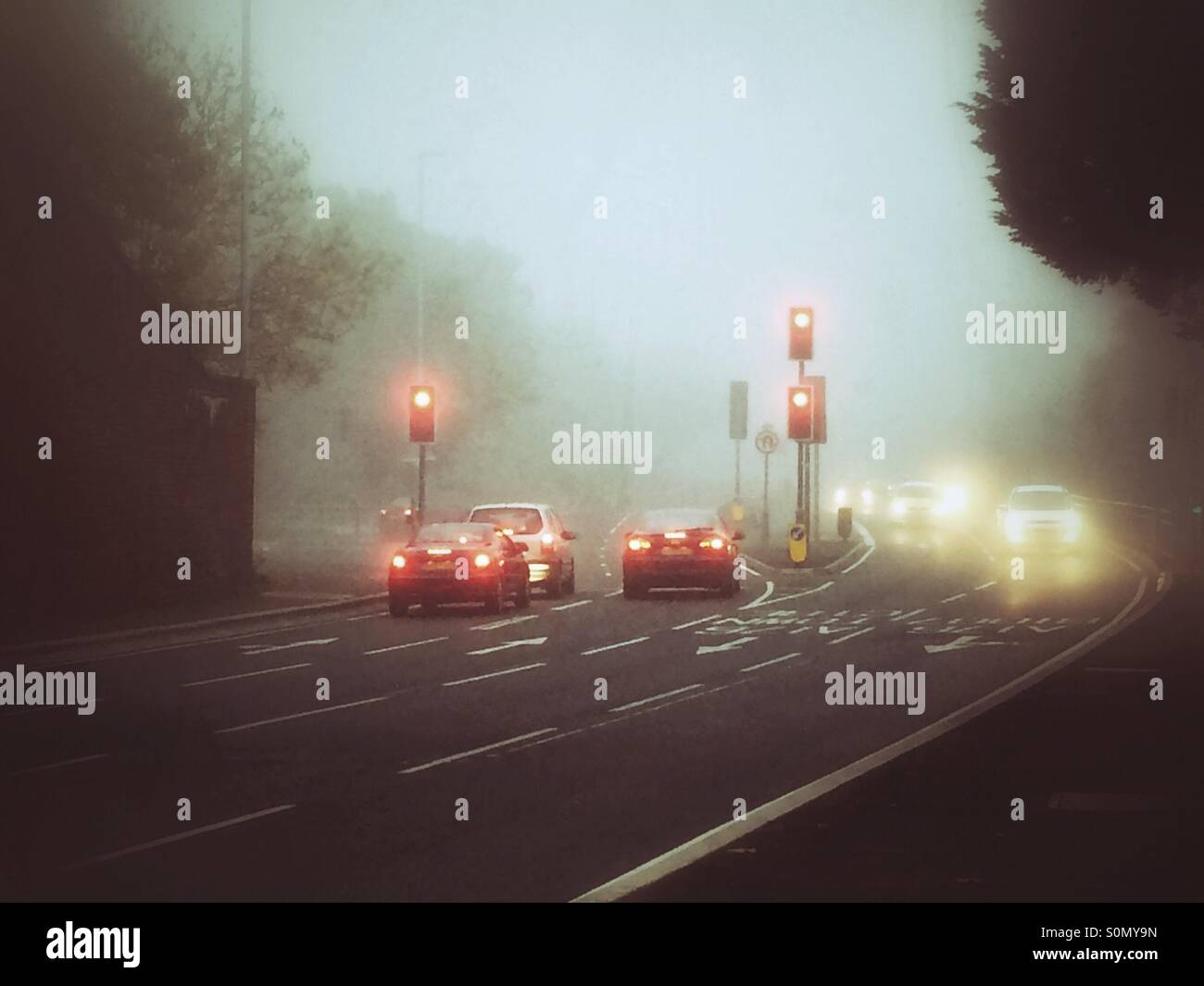 Car lights and traffic lights in the fog. - Smartphone Captured Stock Image