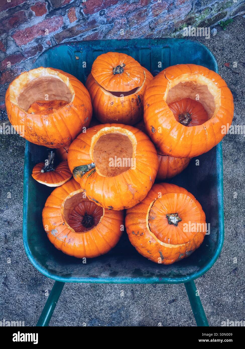 Pumpkins in wheelbarrow. Stock Photo