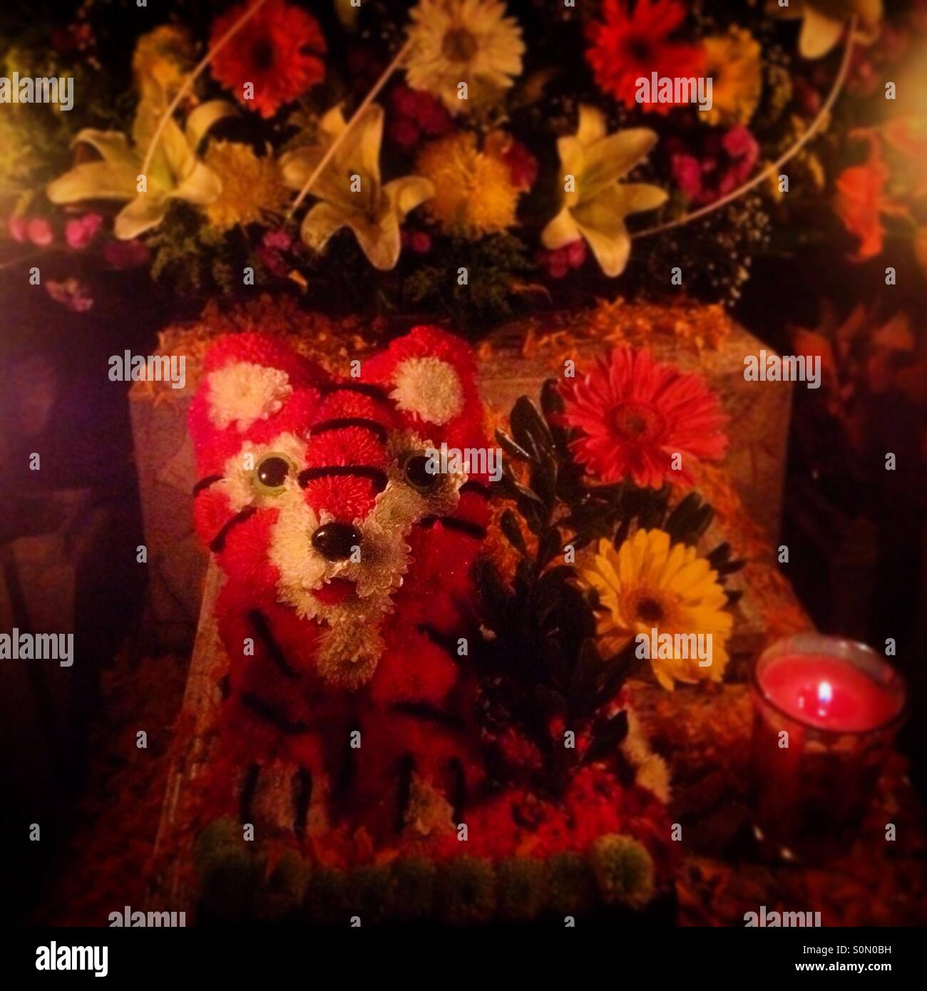 Marigold flowers tiger in a tomb in San Gregorio Atlapulco,Mexico City.Day of the Dead celebration mixes Pre-Hispanic traditions with the European tradition of the Catholic All Souls Day. - Smartphone Captured Stock Image